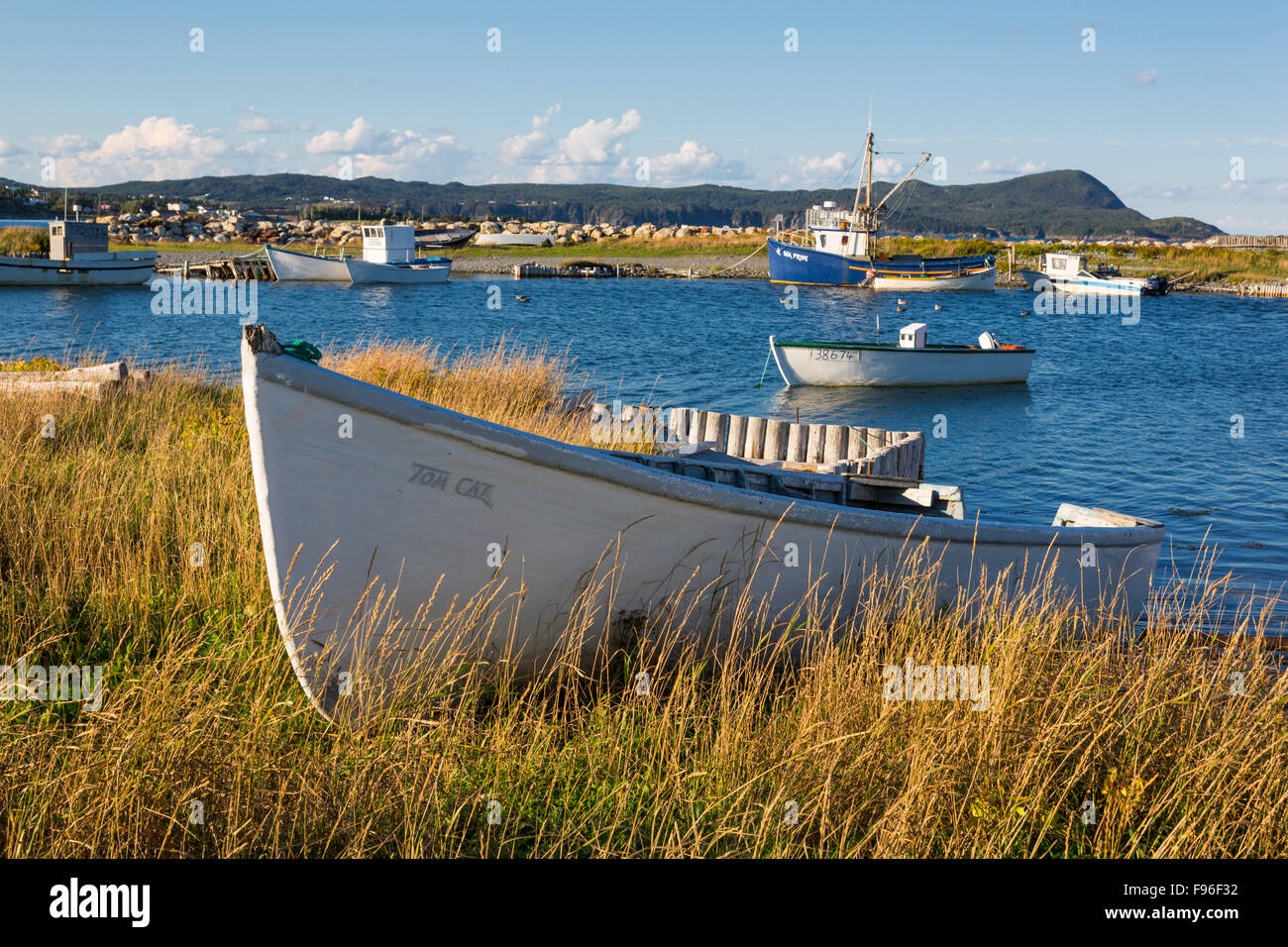 Barche in legno Ferryland, Terranova, Canada Foto Stock