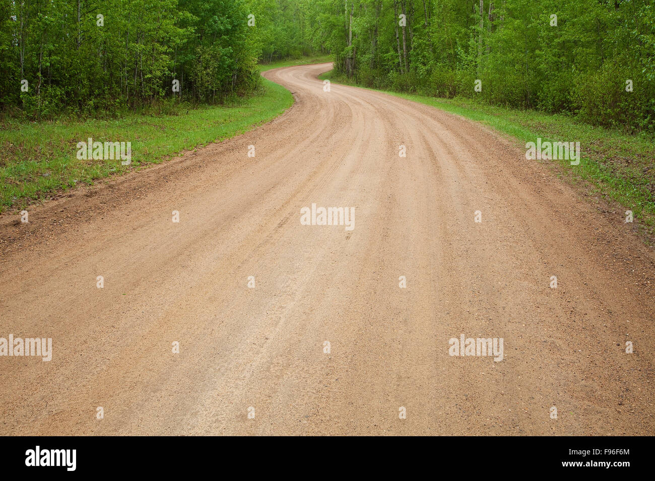 Strada sterrata in esecuzione attraverso la Elk Island National Park, Alberta, Canada Foto Stock