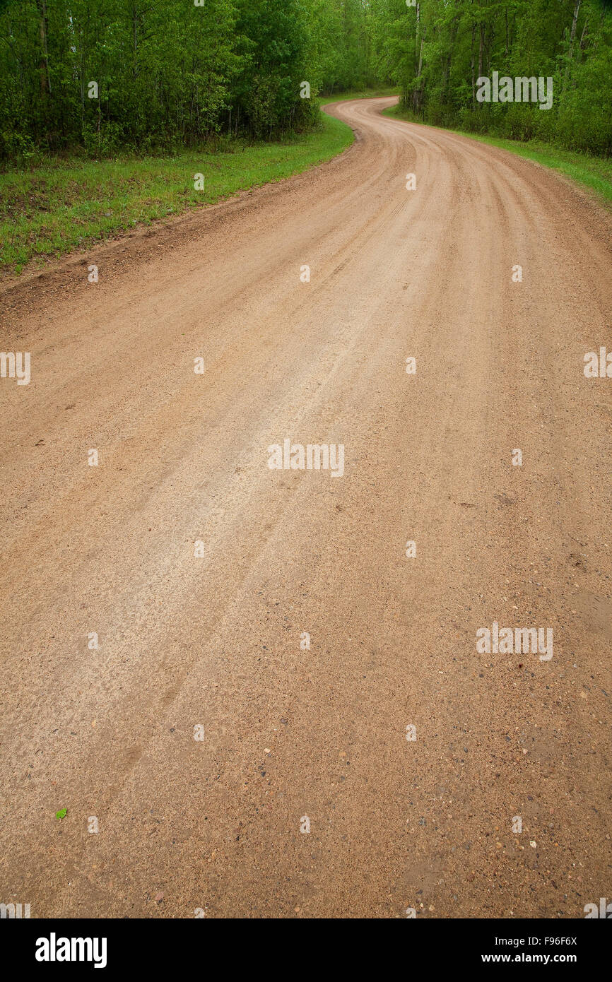 Strada sterrata in esecuzione attraverso la Elk Island National Park, Alberta, Canada Foto Stock