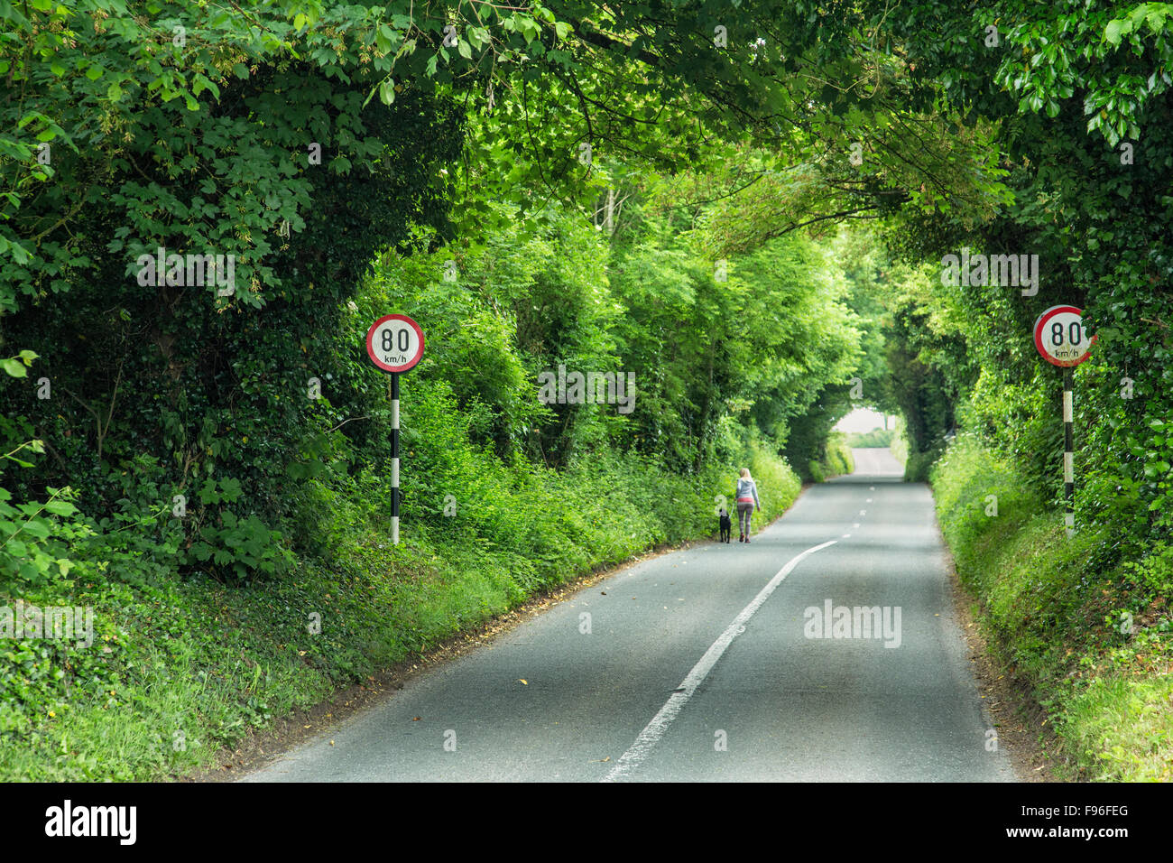 Autostrada vicino a Ballymore Eustache, nella contea di Kildare, Irlanda Foto Stock