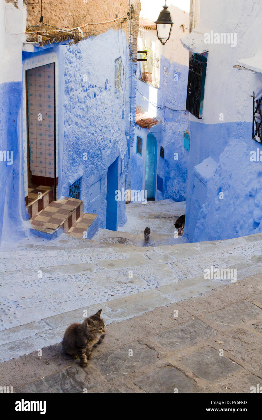 Medina, Chefchaouen, Marocco Foto Stock