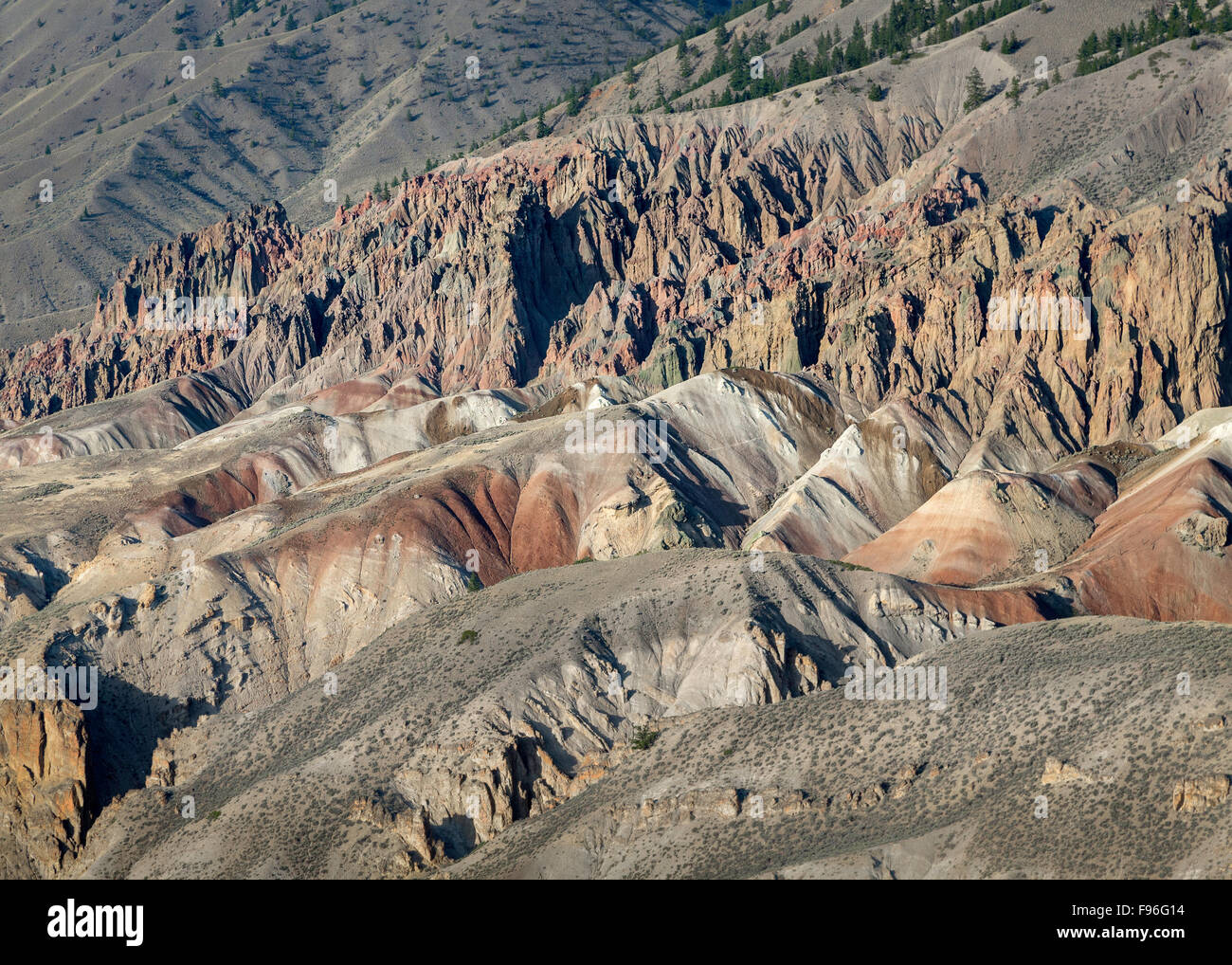 Canada, British Columbia, la fotografia aerea, praterie, Fiume midFraser canyonlands, Foto Stock