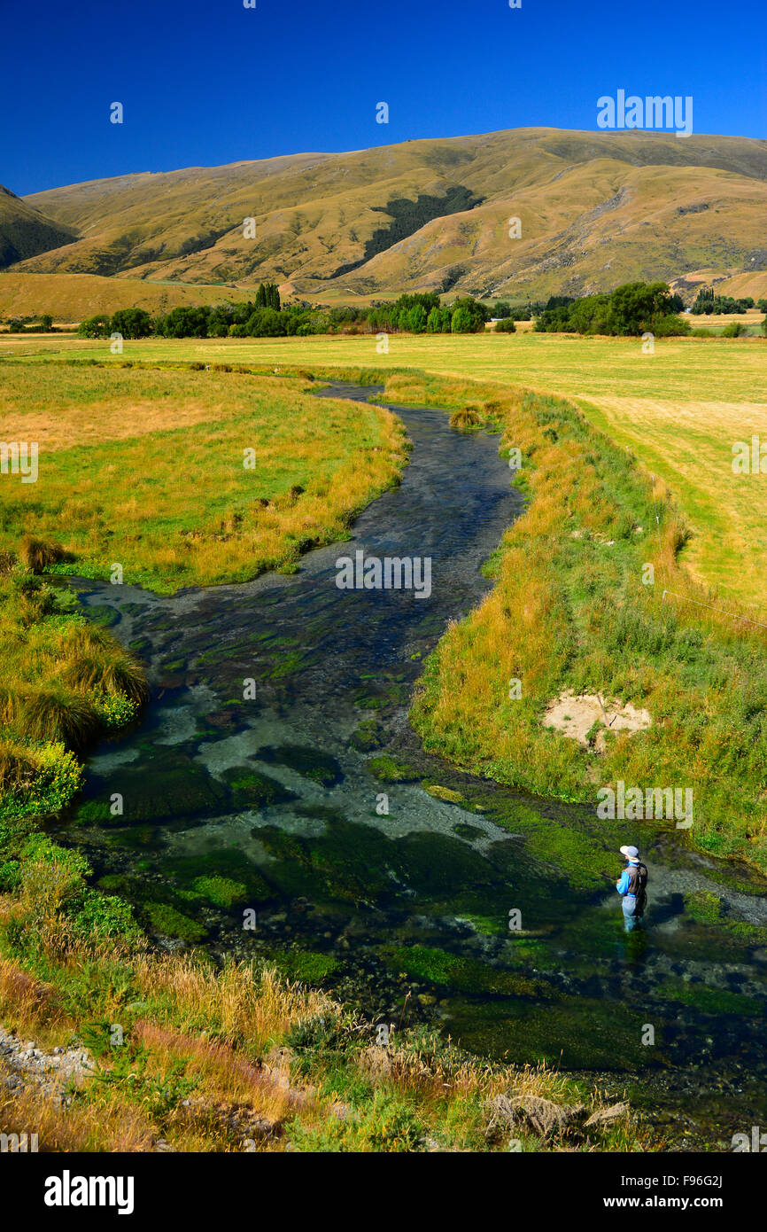 Southland Spring Creek, Nuova Zelanda Foto Stock