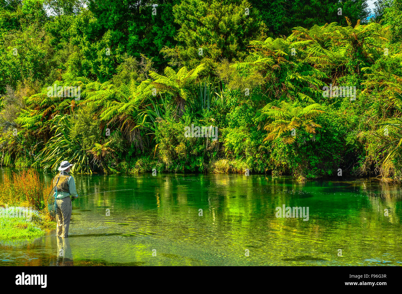 Isola del Sud, Spring Creek, Nuova Zelanda Foto Stock