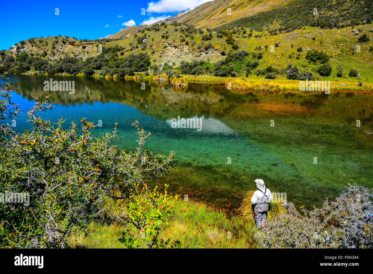 Stagno a molla, McKensie paese, Isola del Sud, Nuova Zelanda Foto Stock