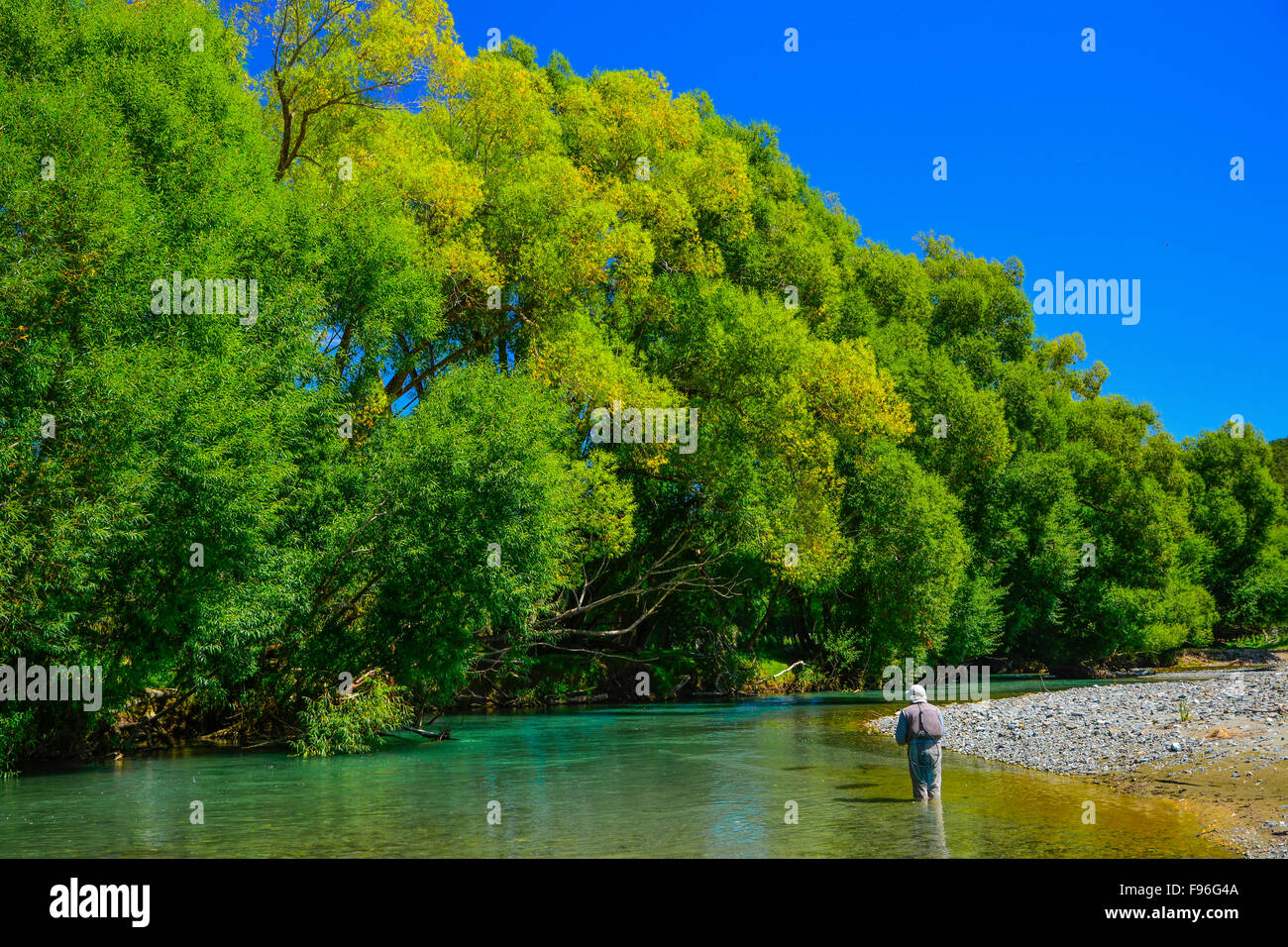 Fiume Mataura, Isola del Sud, Nuova Zelanda Foto Stock