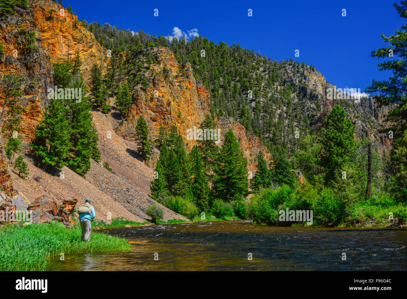 Rock Creek, Montana, USA Foto Stock