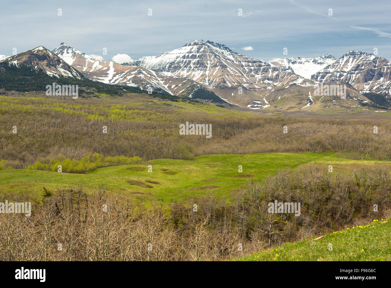 Vicino al Parco Nazionale dei laghi di Waterton, Alberta, Canada Foto Stock