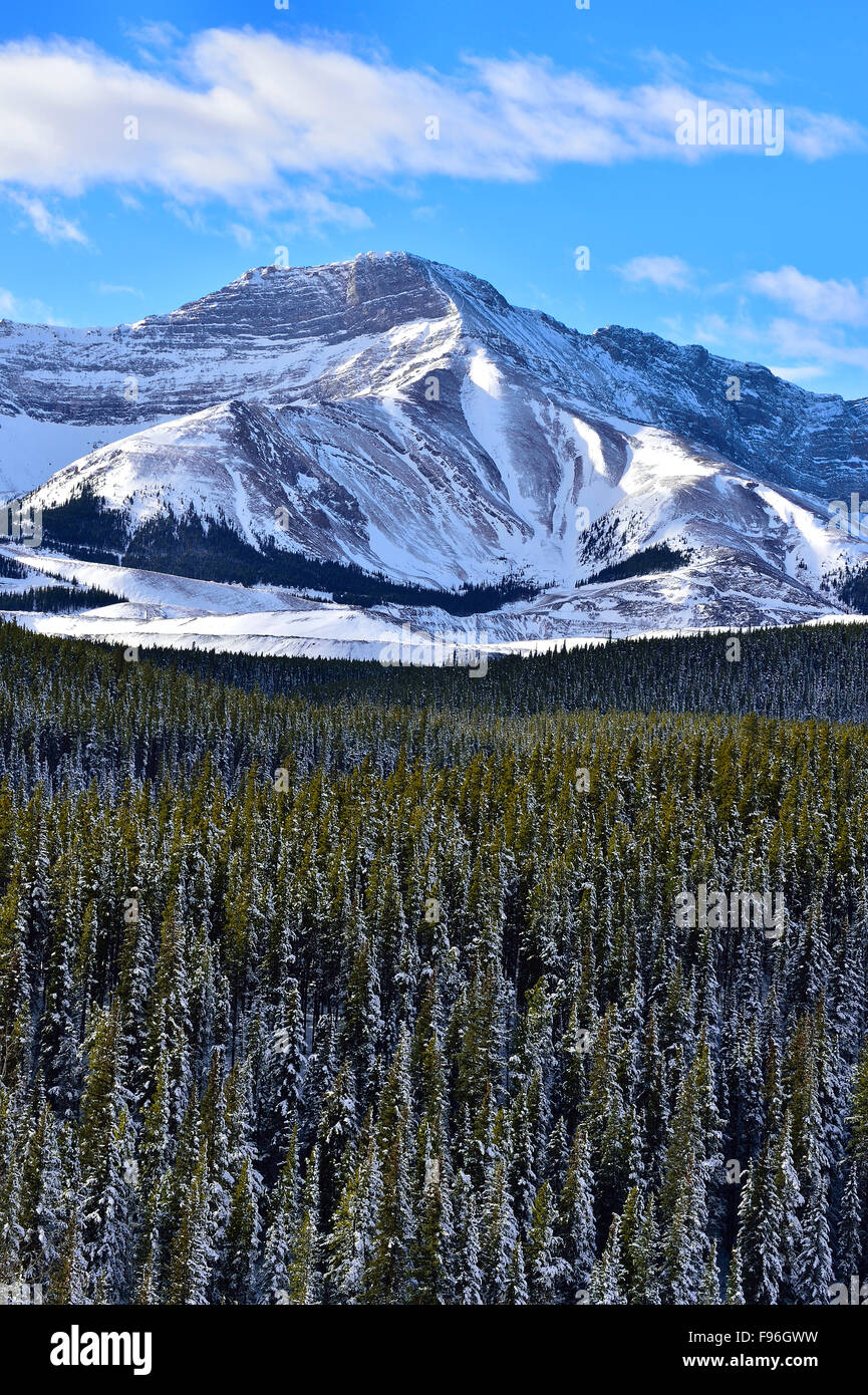 Un paesaggio verticale di una montagna vicino a Cadomine Alberta con neve fresca e cielo blu. Foto Stock
