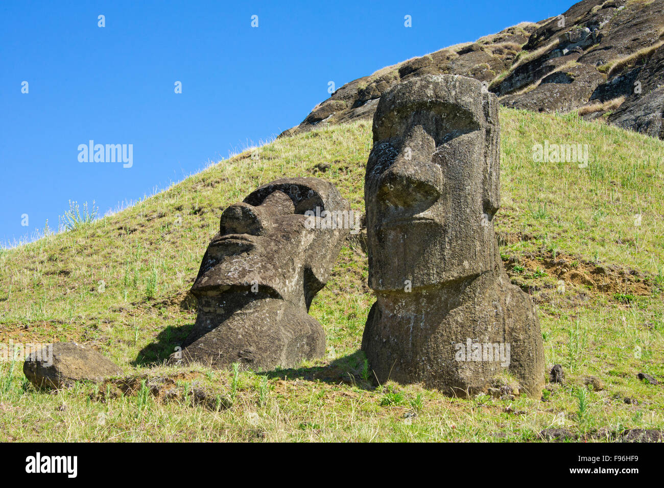 Il cerimoniale moai, Ranu Raraku, Isola di Pasqua Foto Stock