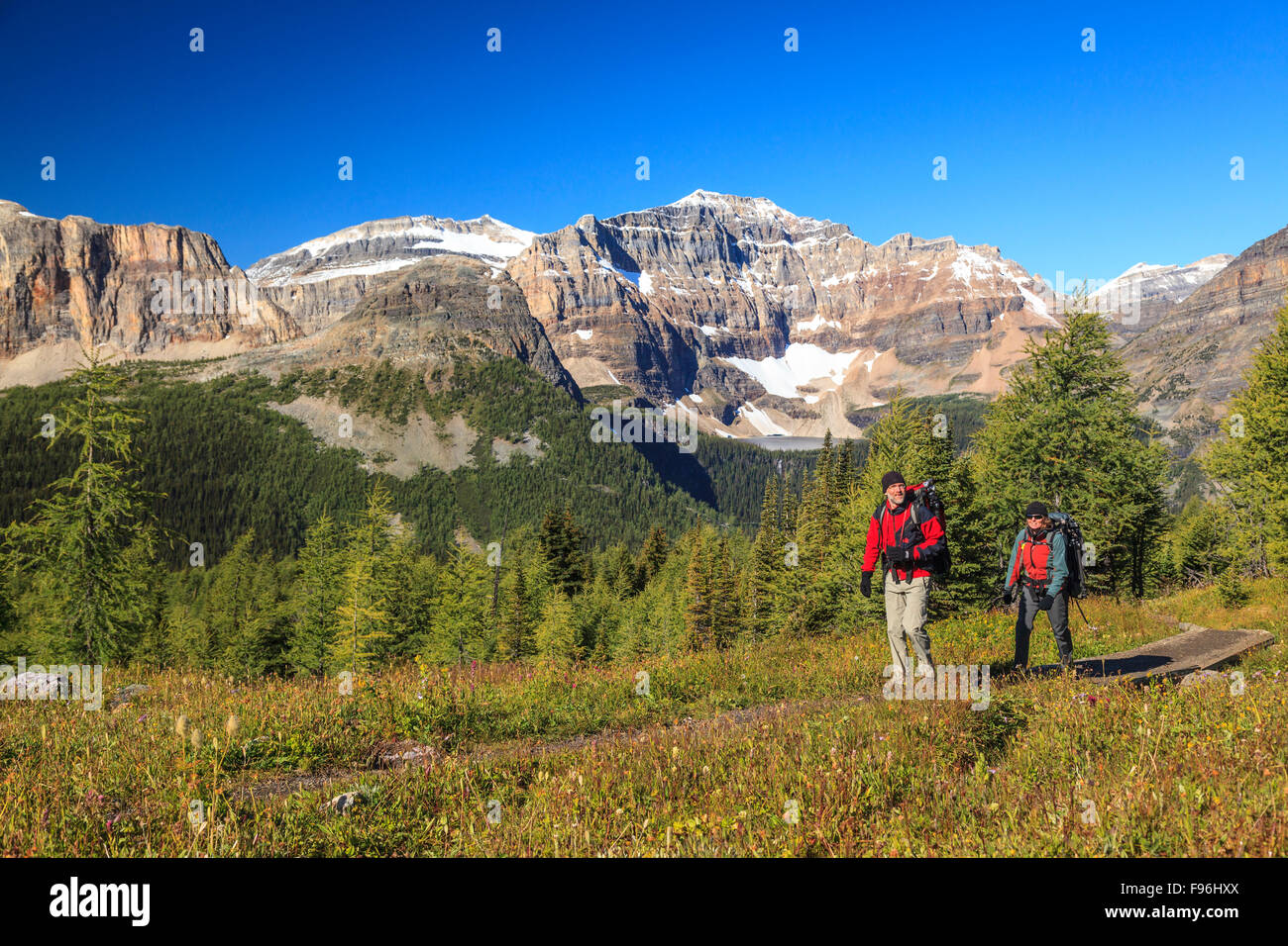 Due back packers ascendere il sentiero da Egitto lago nel Parco Nazionale di Banff, Alberta, Canada. Modello rilasciato Foto Stock