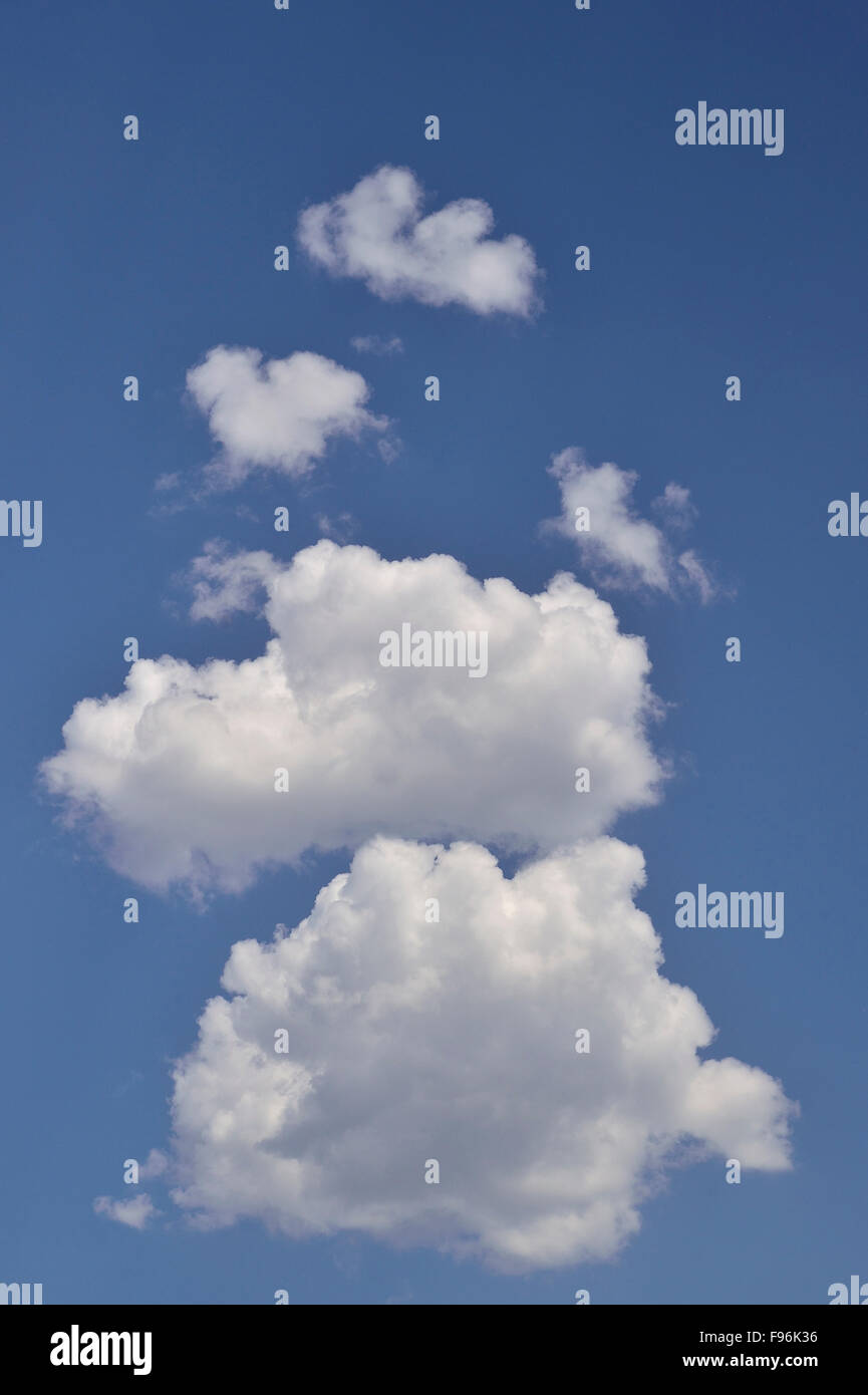 Un'immagine verticale di bianco puffy nuvole su di un blu limpido cielo Alberta. Foto Stock