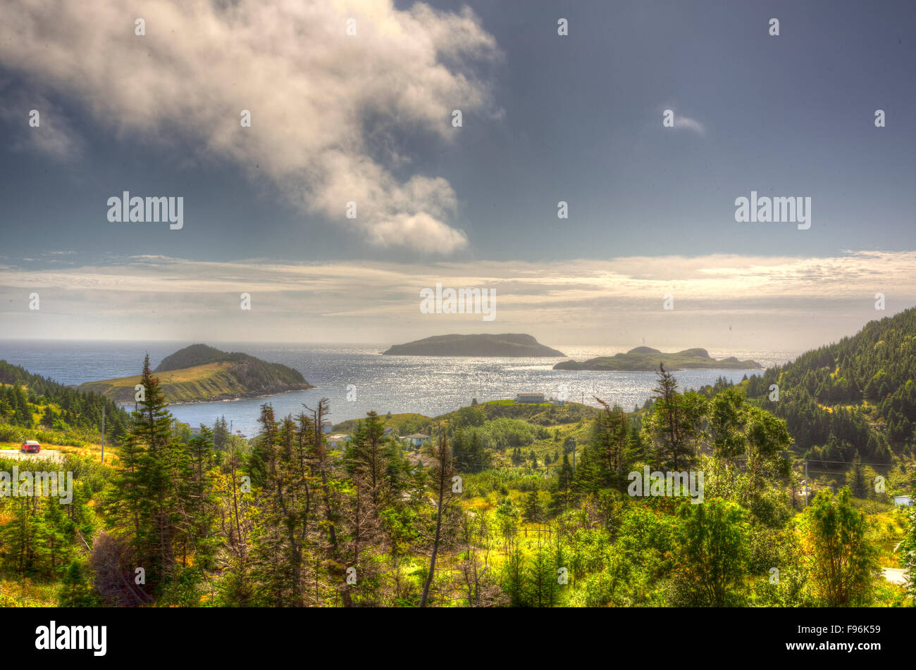 Vista di Witless Bay Islands Park riserva dai tori Cove, Terranova, Canada Foto Stock