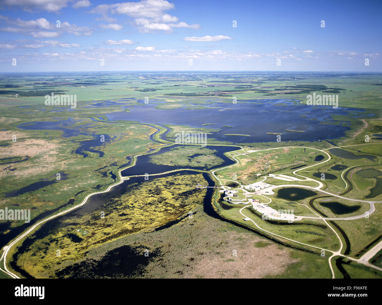 Amaca Oak Marsh, Stonewall, Manitoba Foto Stock