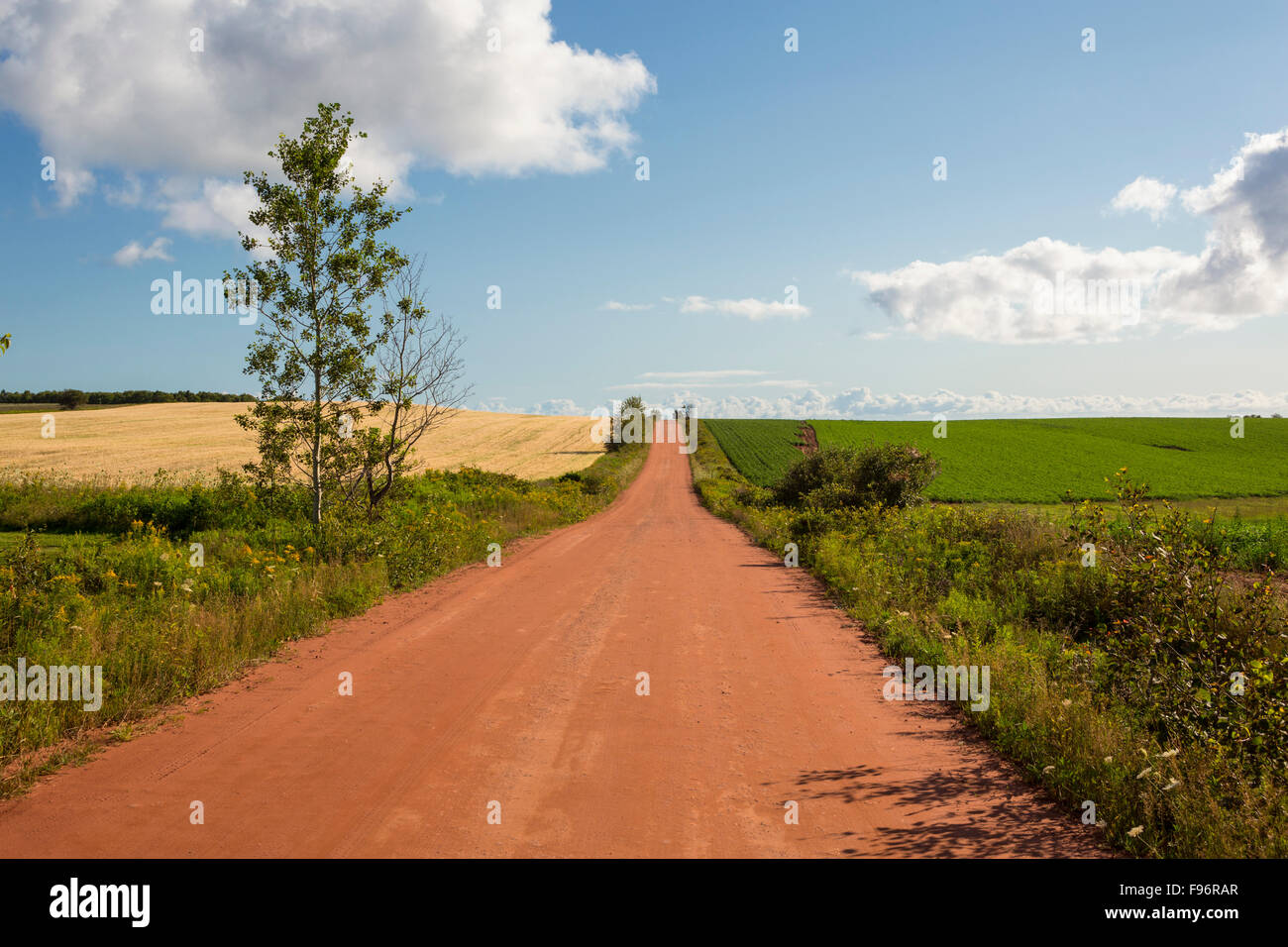 Red country Road, Victoria, Prince Edward Island, Canada Foto Stock