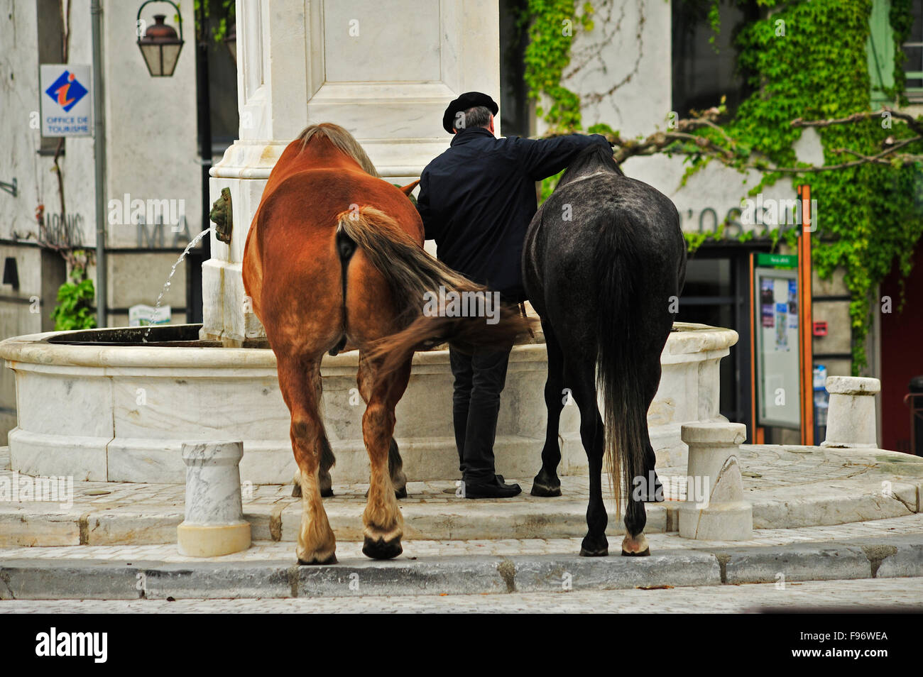 Cavalli bere alla fontana in marmo nella piazza principale, Laruns, Dipartimento PyreneesAtlantique, Aquitaine, Francia Foto Stock