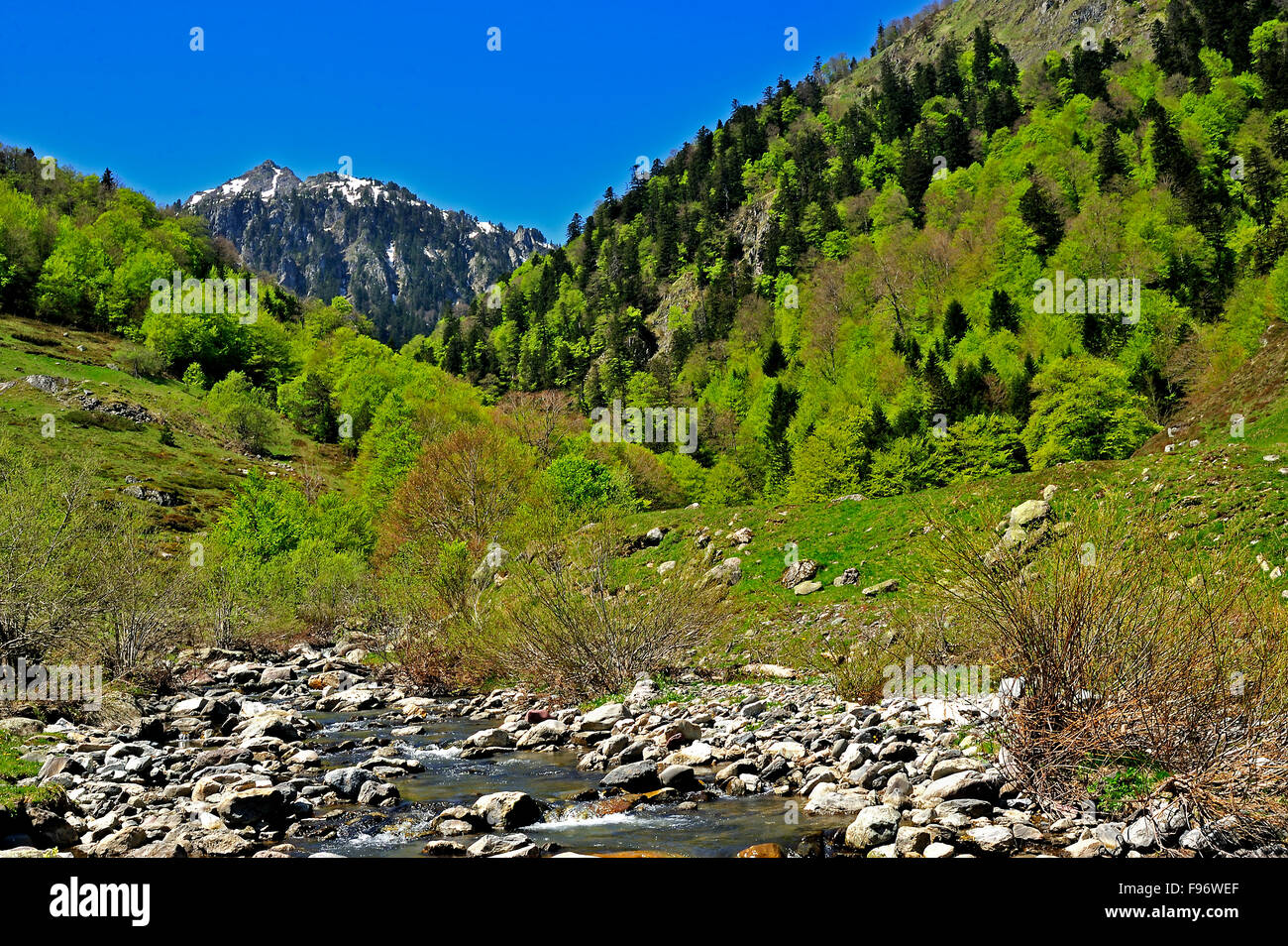 Bious Oumettes area, Parco Nazionale dei Pirenei, Dipartimento PyreneesAtlantique, Aquitaine, Francia Foto Stock