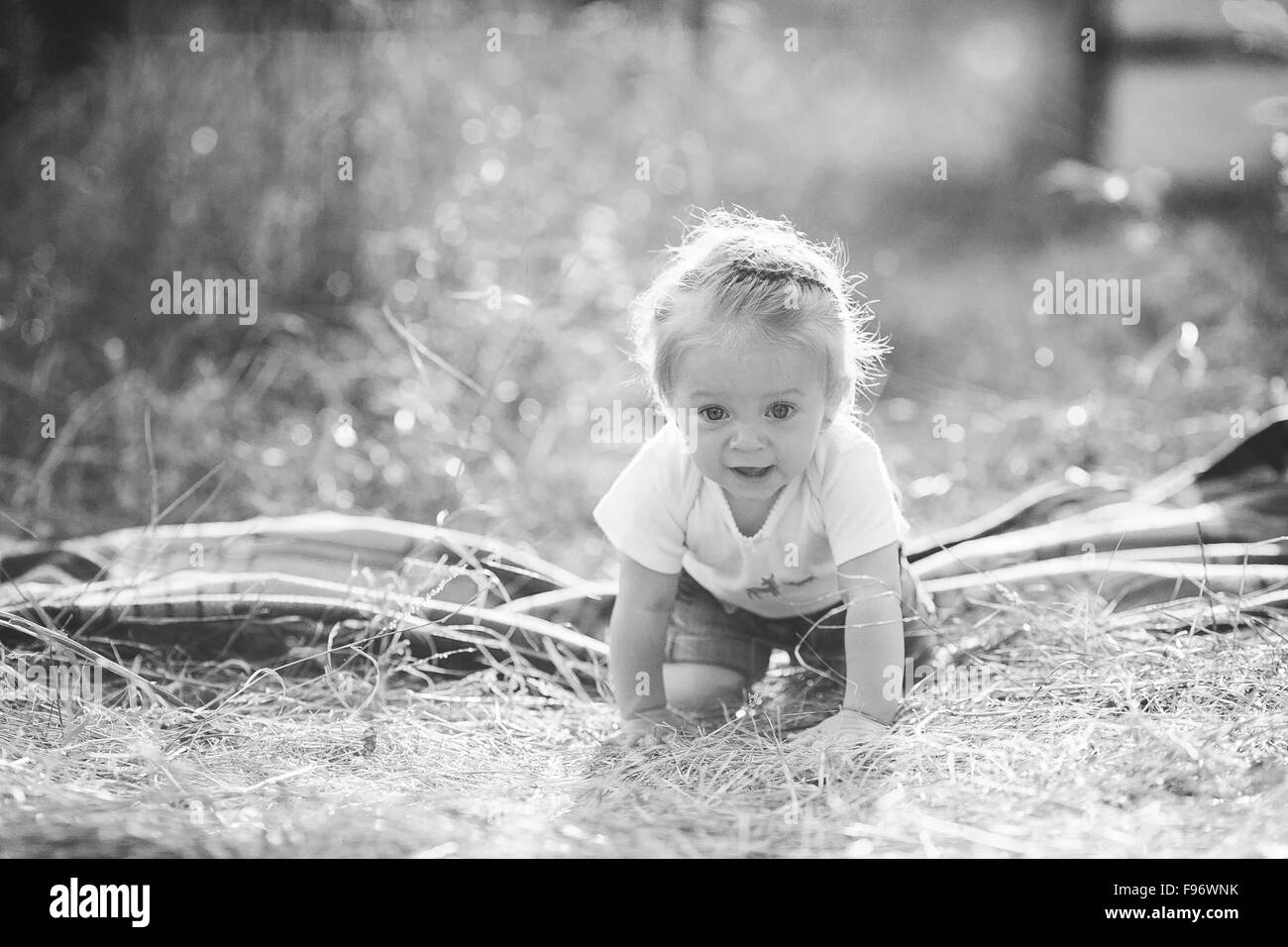 Bambina strisciando sul prato Foto Stock