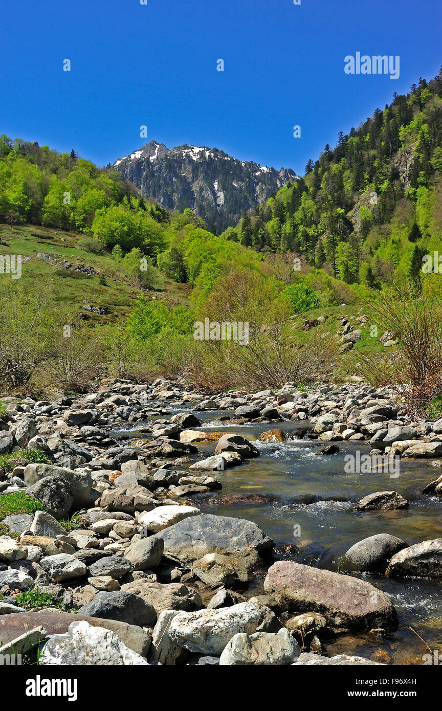 Bious Oumettes area, Parco Nazionale dei Pirenei, Dipartimento PyreneesAtlantique, Aquitaine, Francia Foto Stock