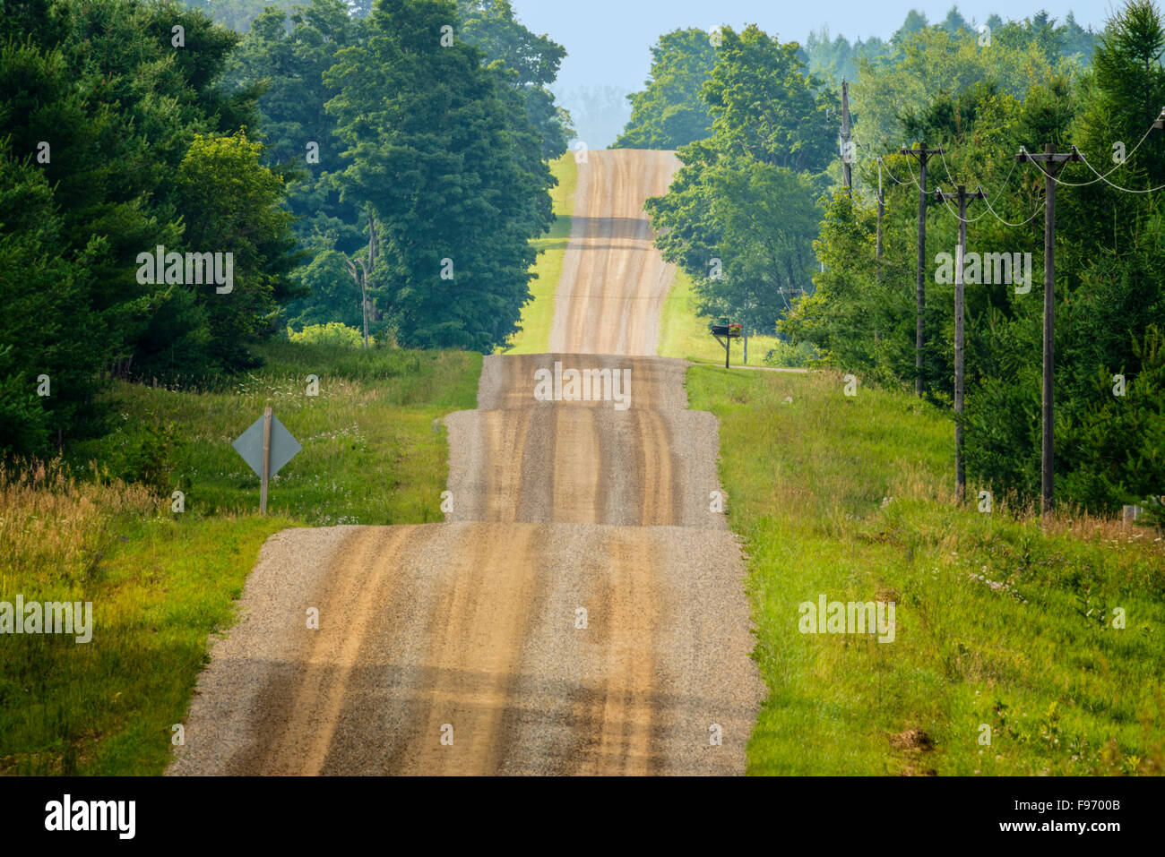 Country Road in mattinata estiva haze, vicino a Marte, Ontario, Canada Foto Stock