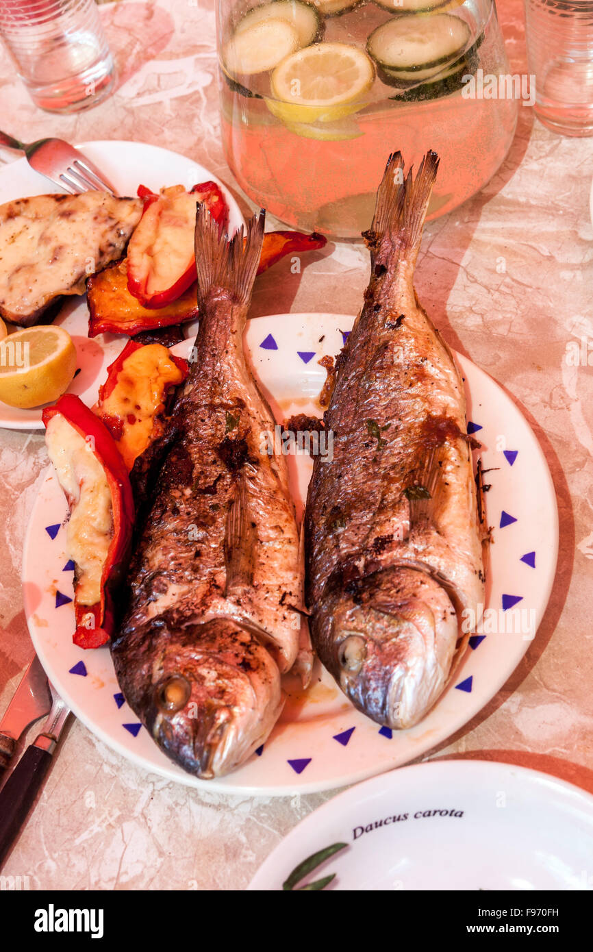 Grigliate Sea Beam in piatto dorado pasto di pesce Foto Stock