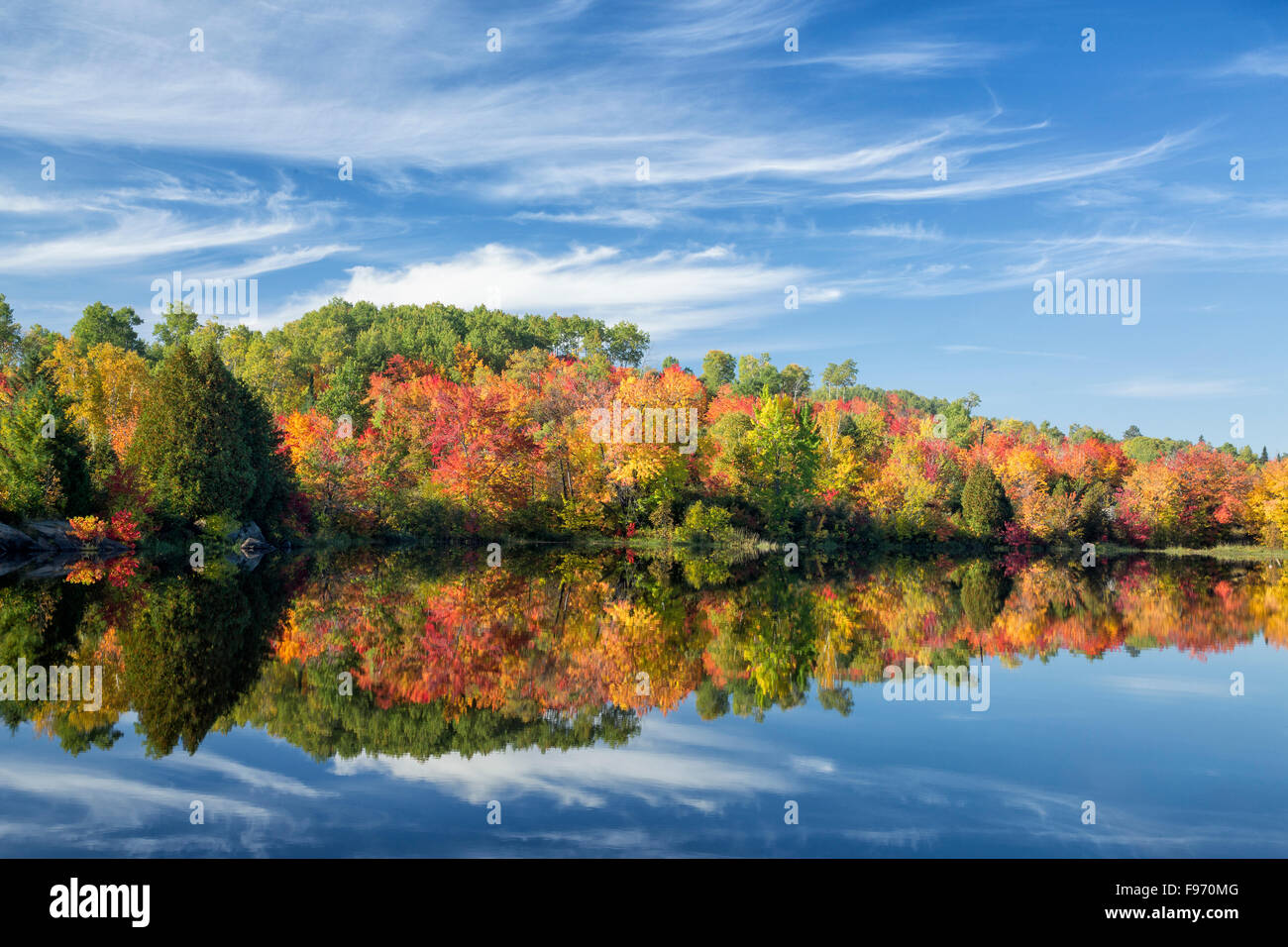Autunno riflessioni, Fiume Vermiglio, coregoni, Ontario, Canada Foto Stock
