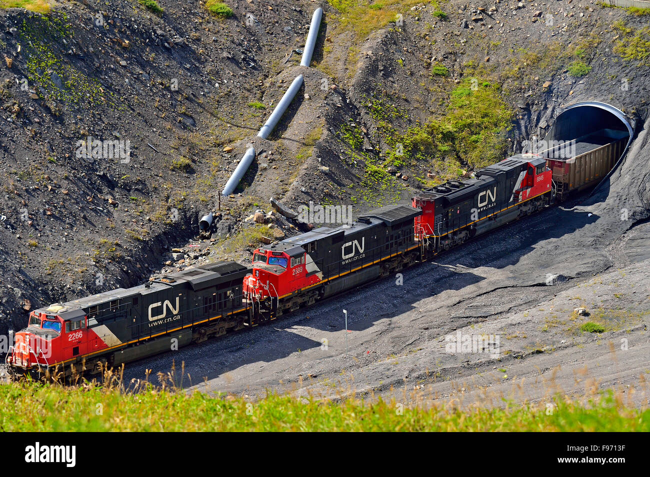 Un Canadian National treno merci trasporta un carico di carbone auto attraverso un tunnel ad una miniera di carbone sito ai piedi delle colline di Foto Stock