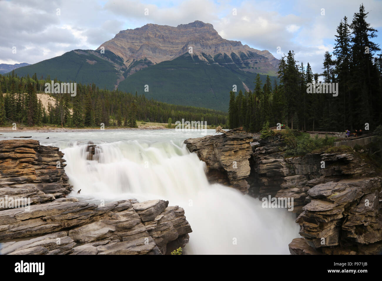 Cascate Athabasca, Jasper National Park, British Columbia, Canada Foto Stock