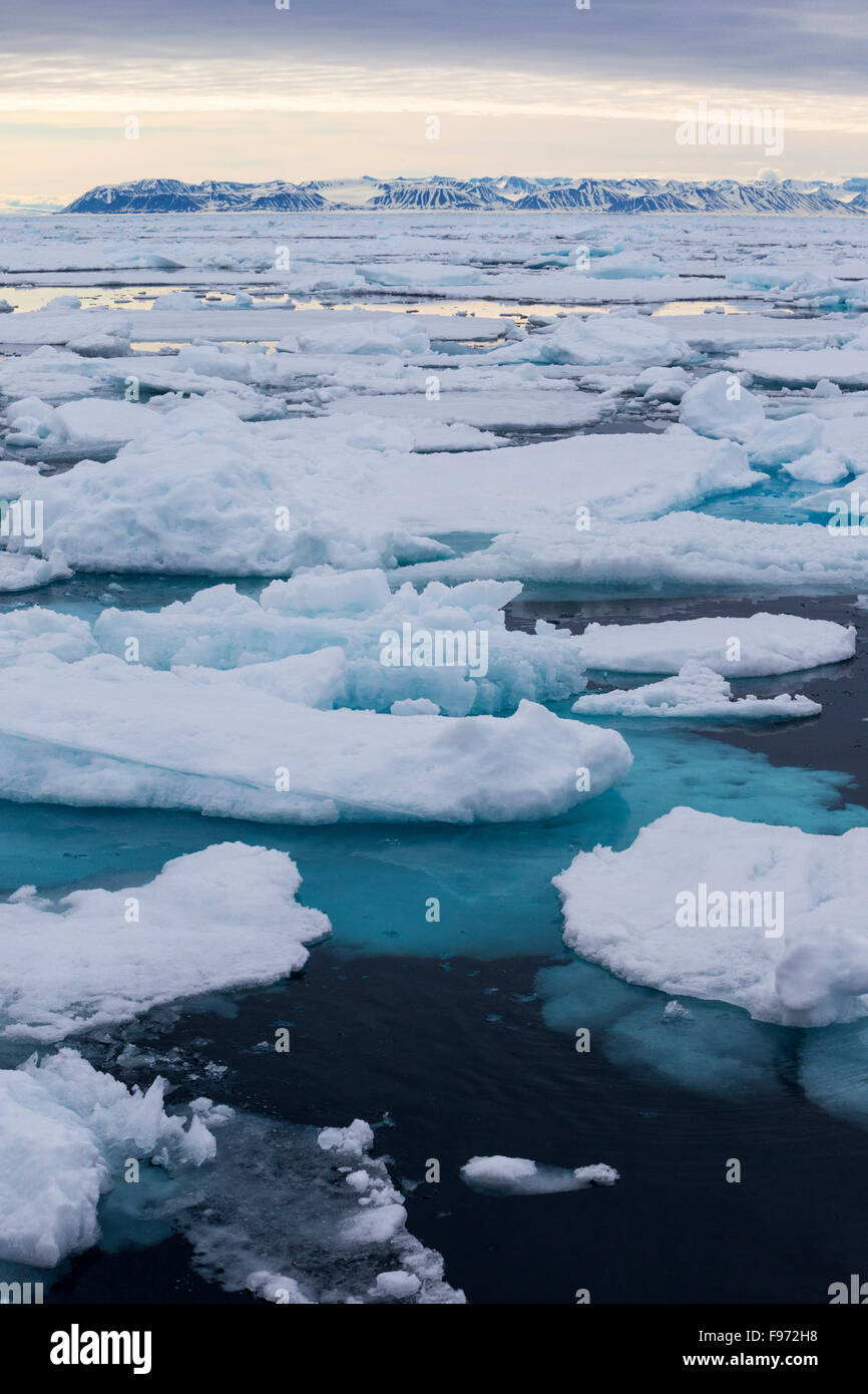 Pack ghiaccio, a nord di isola Spitsbergen, arcipelago delle Svalbard, Arctic Norvegia. Foto Stock