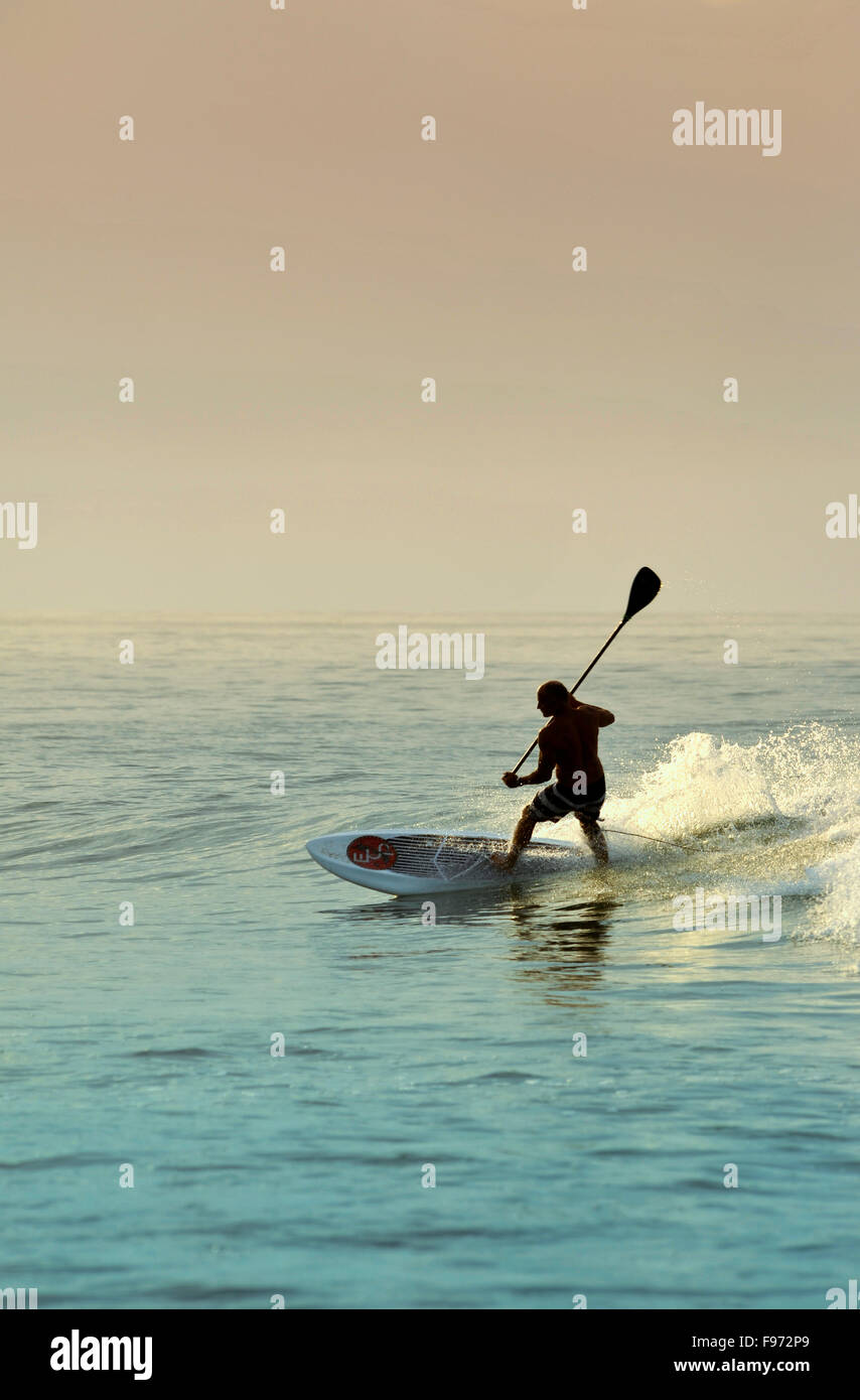 Paddleboarding su una spiaggia vicino a Puerto Vallarta, Messico Foto Stock