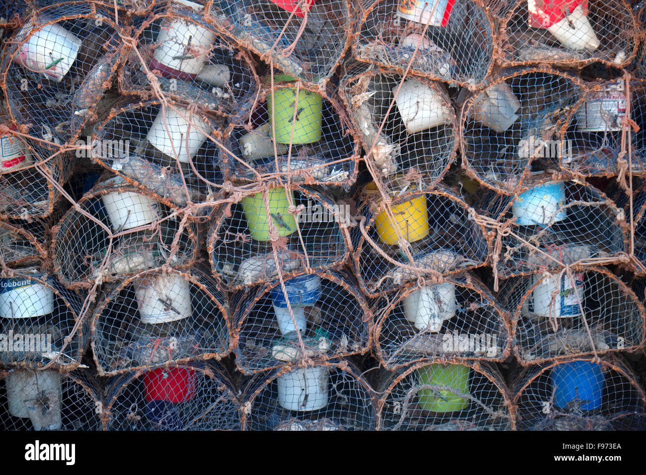 Aragosta e granchio gabbie impilate sulla banchina del porto di Essaouira Mogador in Marocco Foto Stock