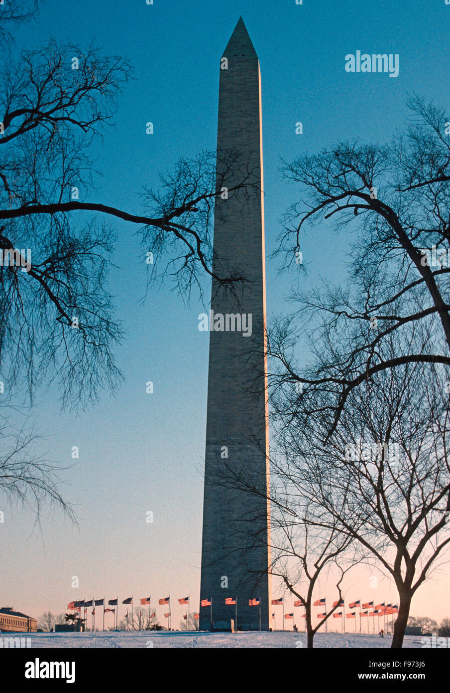 Il Monumento a Washington in inverno. Foto Stock