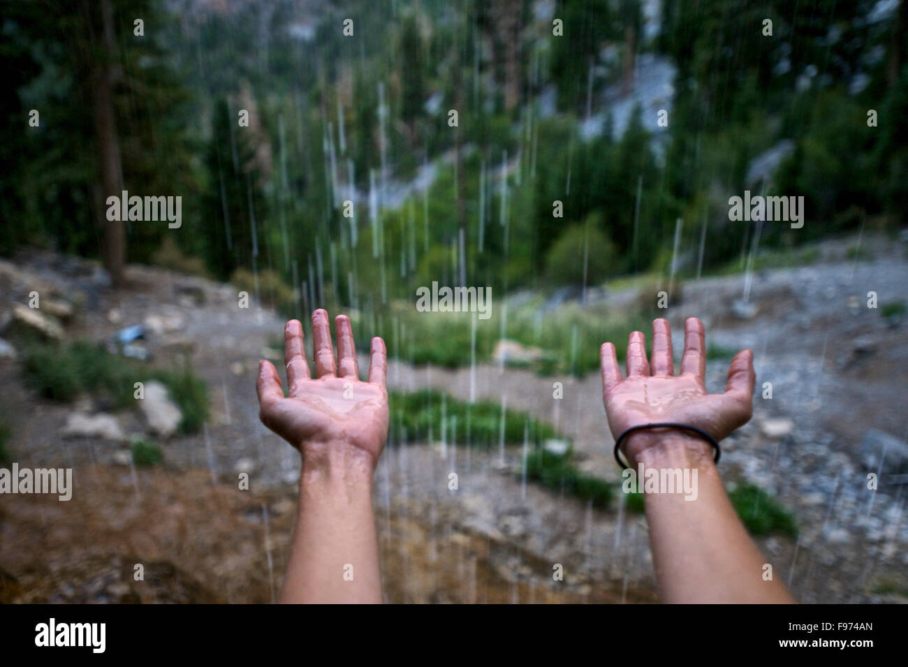 Una donna che tiene le mani fuori al di sotto di una cascata a Mt. Charleston, Nevada. Foto Stock