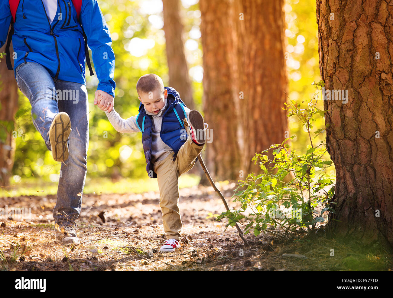 Padre e figlio a piedi durante le attività di trekking nella foresta di autunno al tramonto Foto Stock