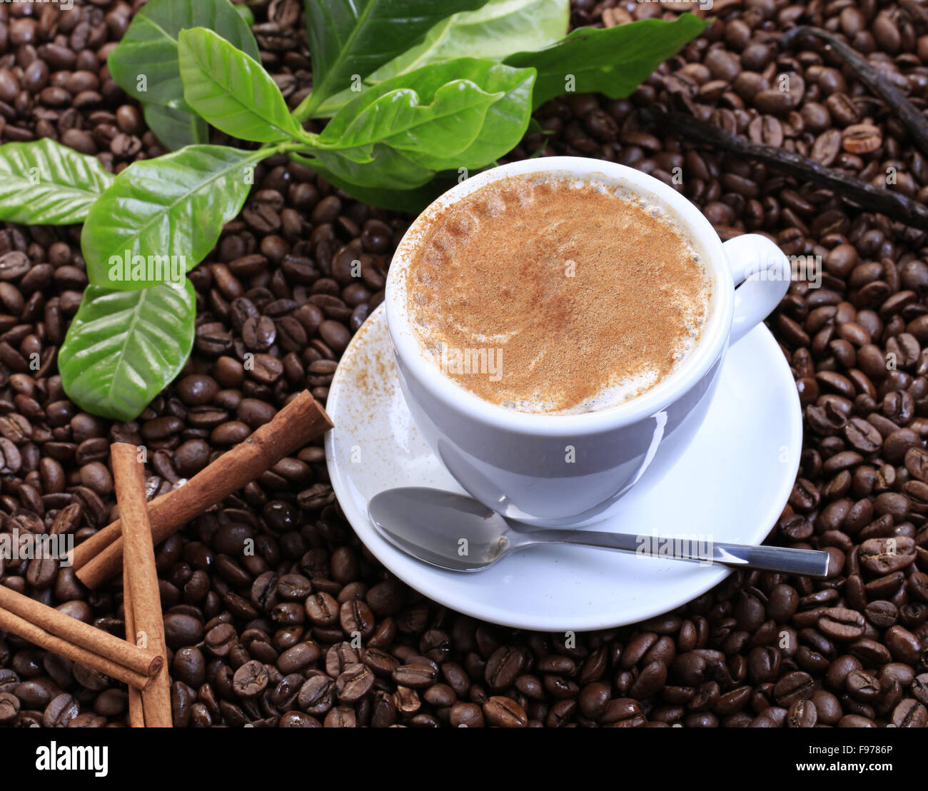 Tazza di cappuccino con una spolverata di cannella Foto Stock