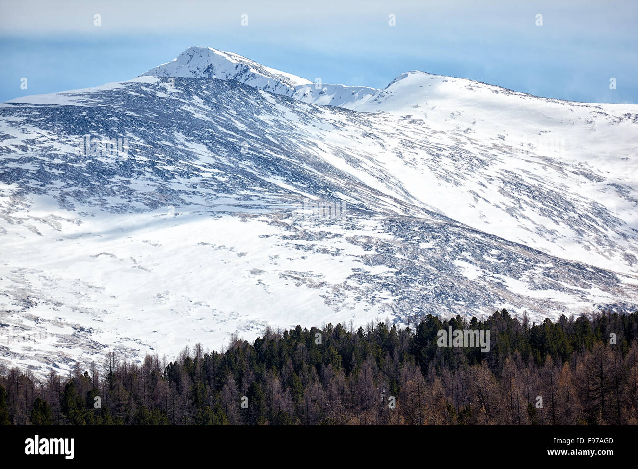 Kuraisky ridge sotto il ghiaccio e la neve. Altai, Siberia, Russia Foto Stock