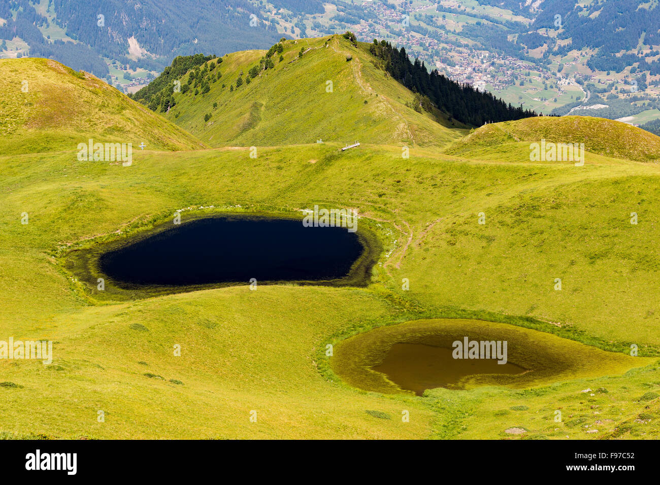 Praterie e pascoli alpini. Pozzanghere e il lago per il pascolo. Alp Itramen vicino Mannlichen, Bernese Oberland. Alpi svizzere. Foto Stock