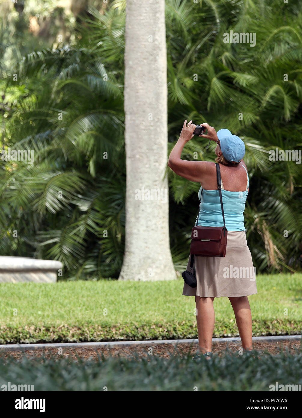Donna matura fotografo in una Florida Park. Ottobre 2014 Foto Stock