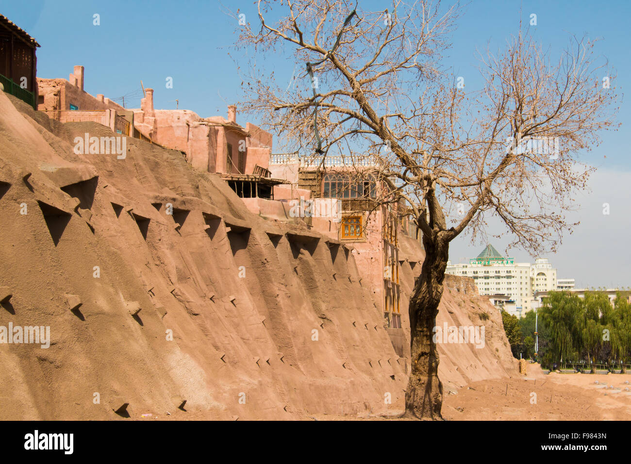 Vecchio albero nella parte anteriore della Città Vecchia di Kashgar con un cielo blu Foto Stock