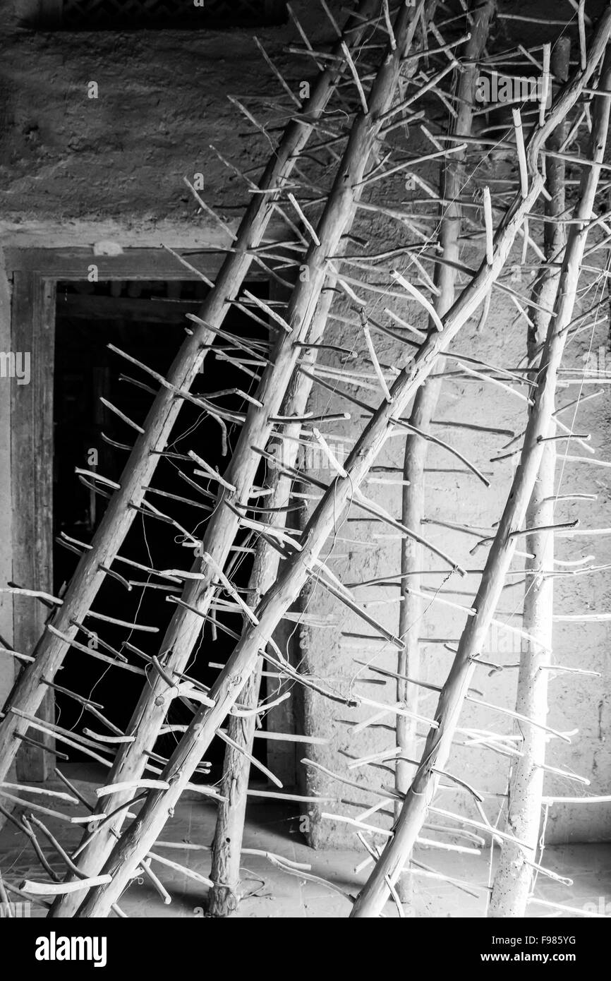 Stelo per uve secche al sole di fronte a una porta girato in bianco e nero Foto Stock