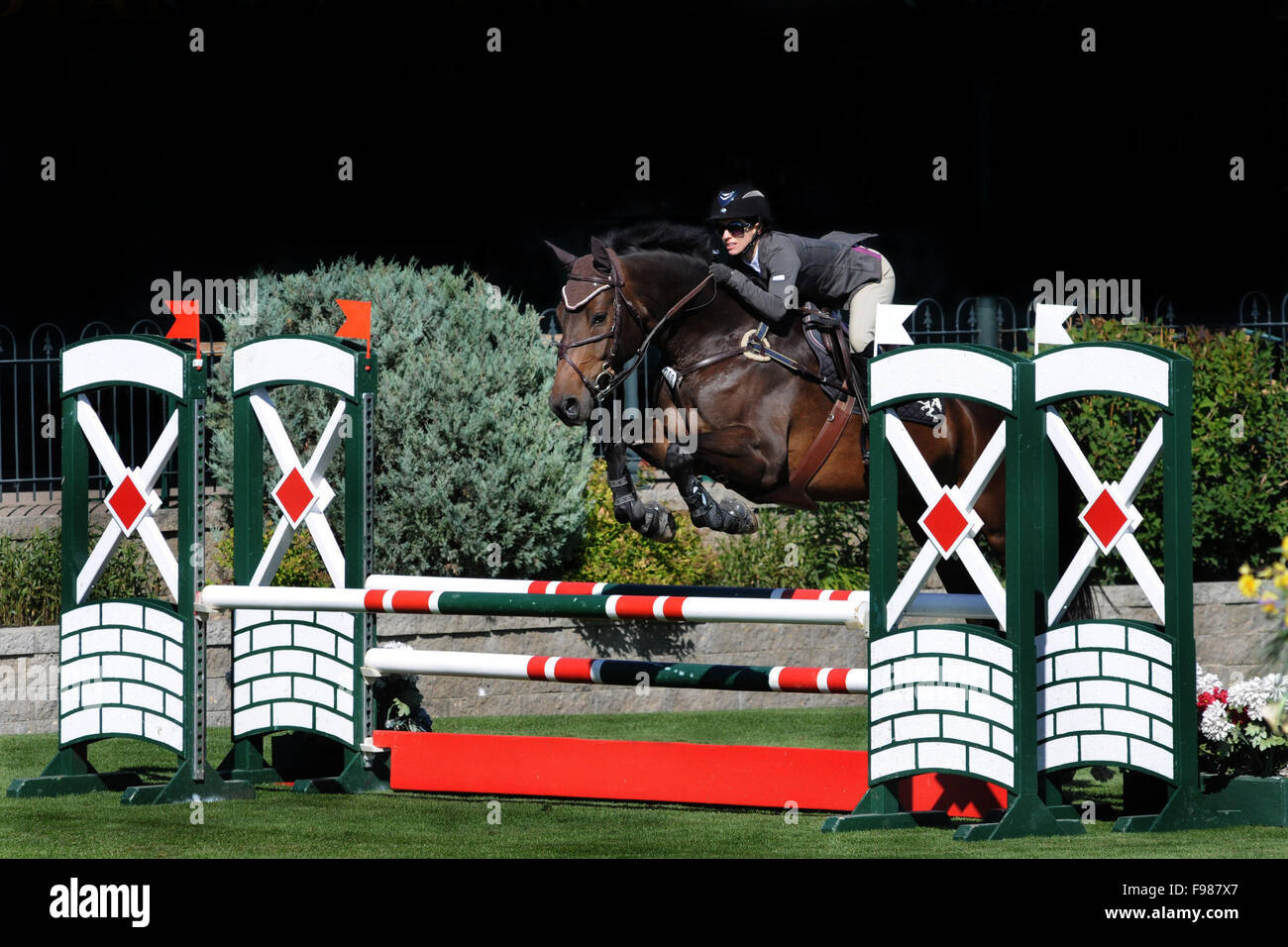 Horse Show Jumping, sport equestri, sport cavallo, warm-sangue, anello del ponticello Foto Stock