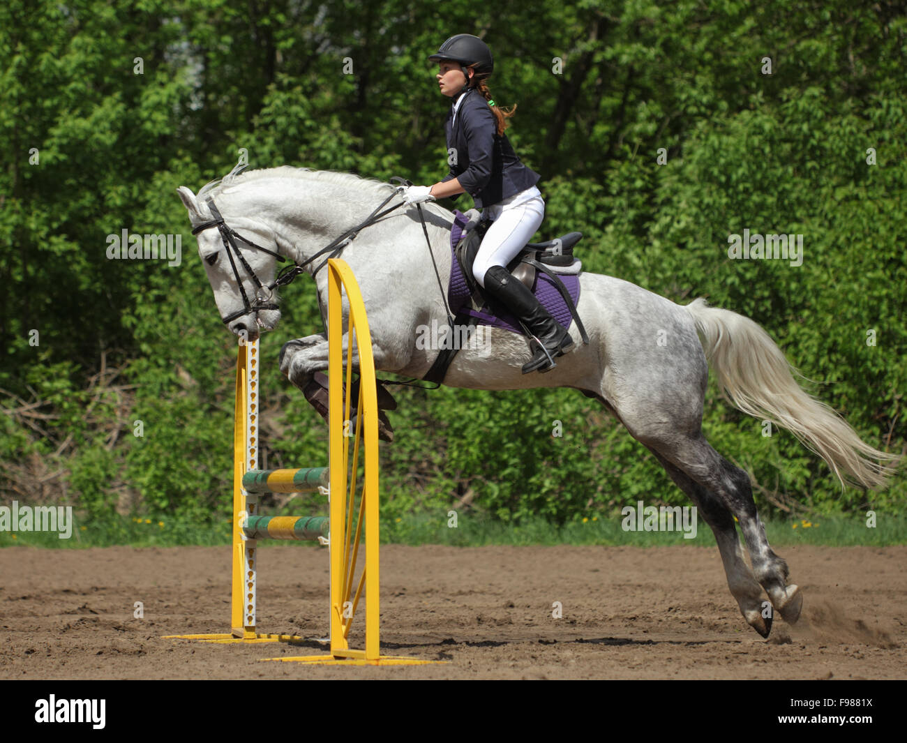Cavallo e cavaliere sono la navigazione un salto Foto Stock