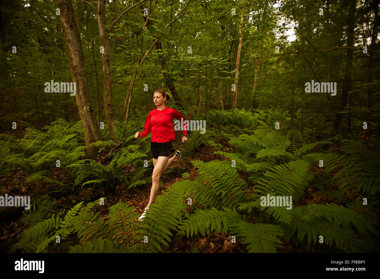 Un atleta femminile trail running Foto Stock