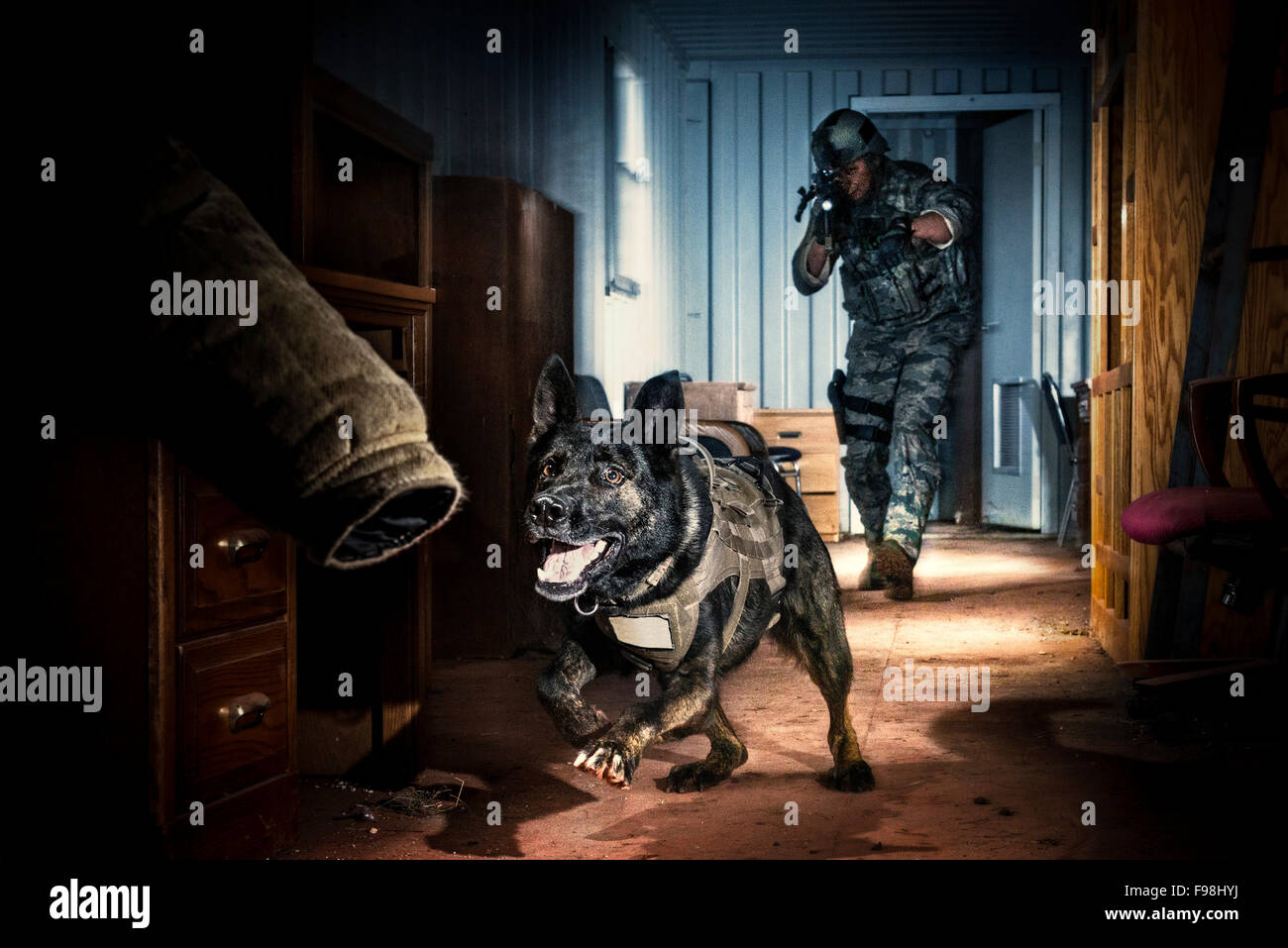 Una forza aerea delle forze di sicurezza K-9 gestore, e il suo lavoro militari cane, via un aggressore armato in un rimorchio casa e prepararsi a prendere il colpevole verso il basso dalla forza Foto Stock