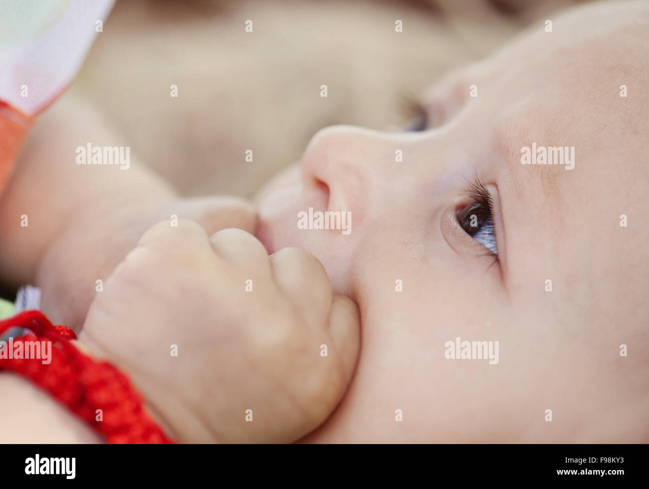 Outdoor ritratto della piccola bambina sdraiato nella vecchia valigia in legno Foto Stock