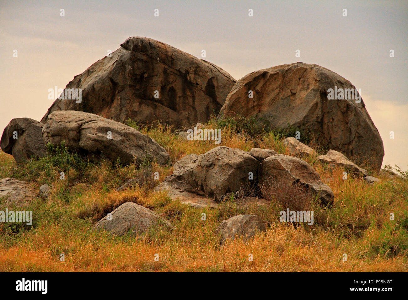 Un rock Kopje sulla savana africana Foto Stock