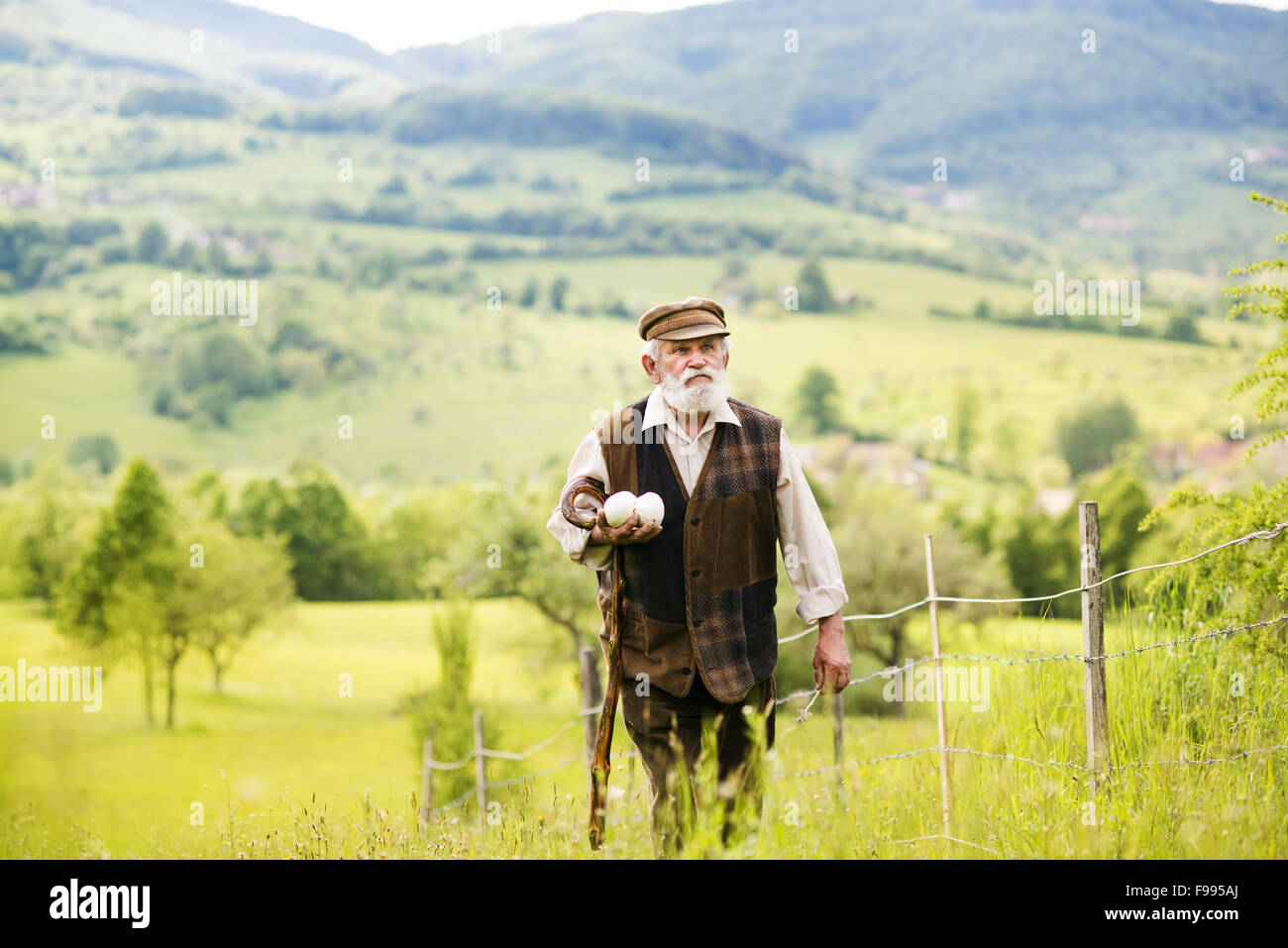 Vecchio contadino con la barba è percorribile a piedi in Prato Foto Stock