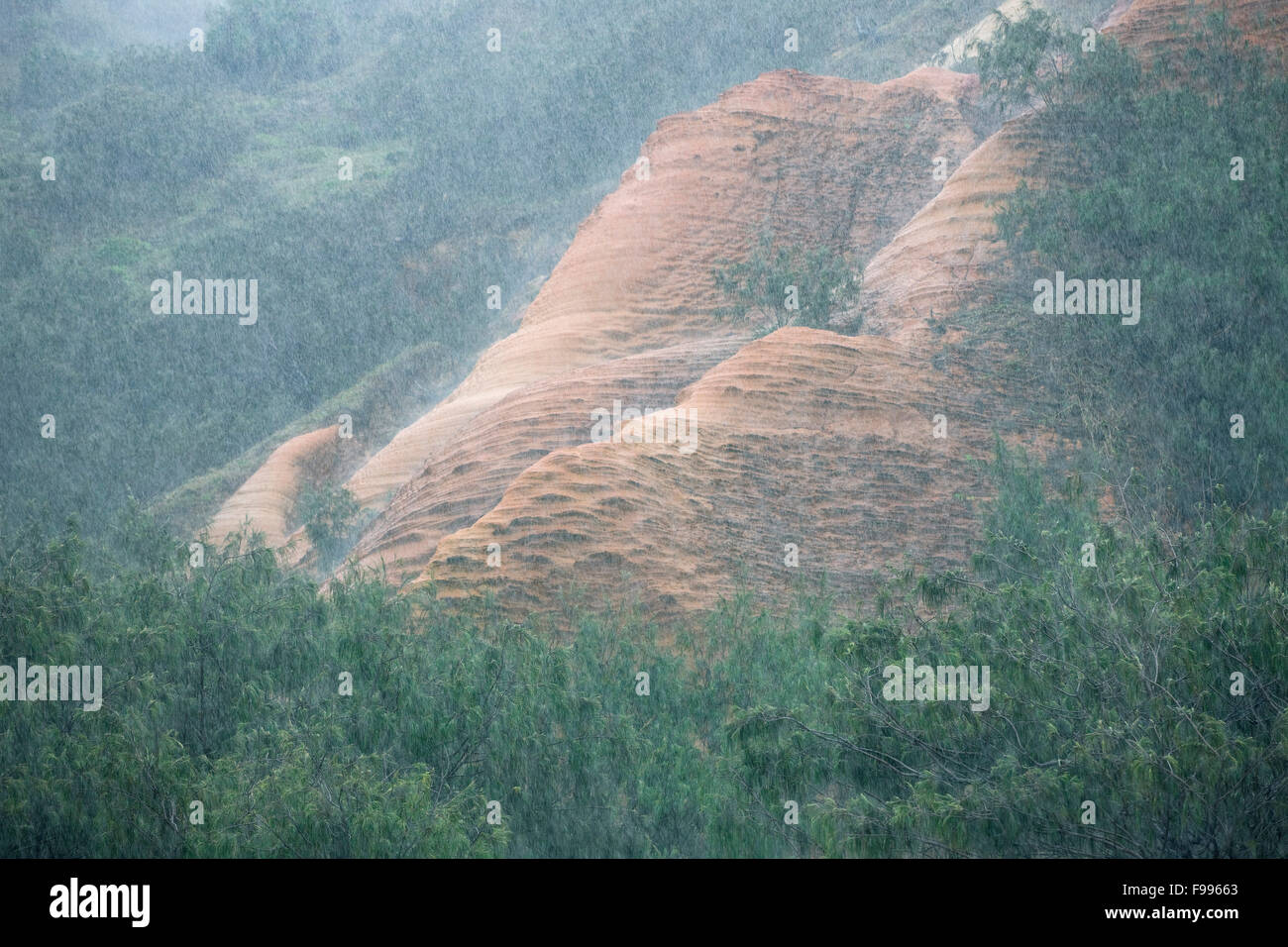 Red Canyon e nelle vicinanze durante la pioggia, Fraser Island, in Australia. Foto Stock