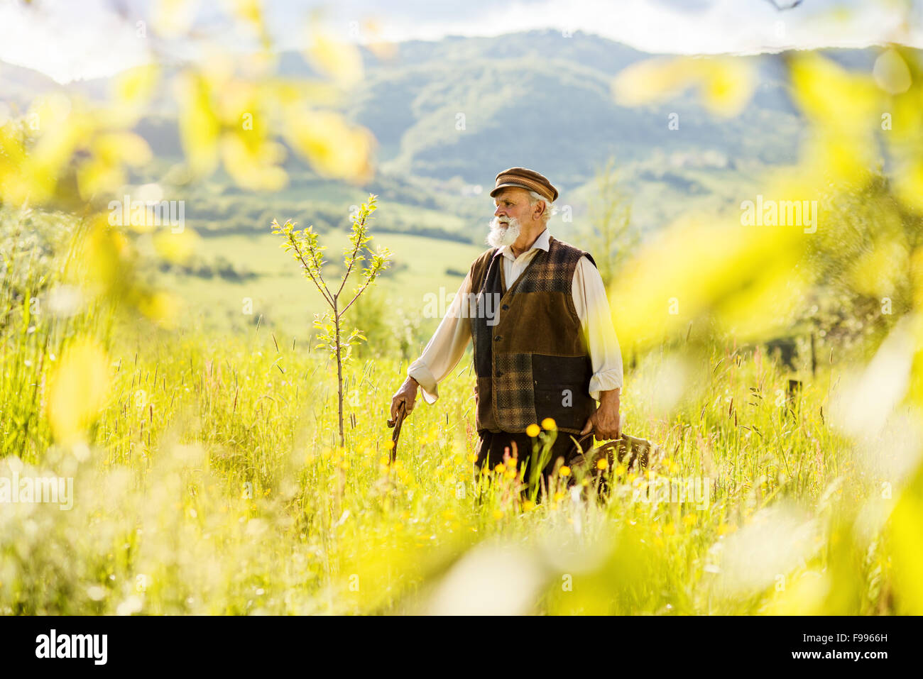 Vecchio contadino con la barba è percorribile a piedi in Prato Foto Stock