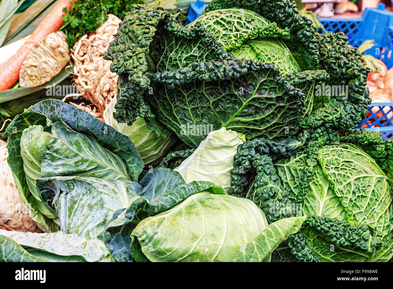 Cavoli freschi disposizione Foto Stock